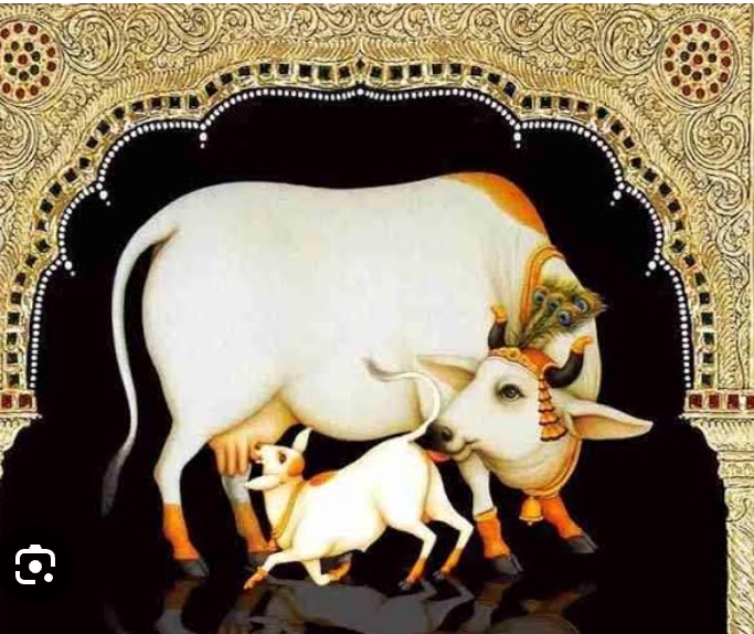 गाय बछड़े का पूजन कर बच्छ बारस पर्व मनाया