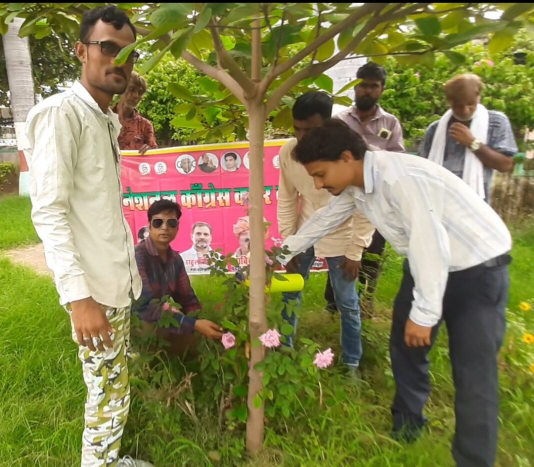नेशनल कांग्रेस वर्कर्स कमेटी के पदाधिकारी ने पौधारोपण किया