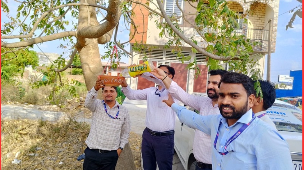 युवा साथी सेवा संस्थान ने तालेड़ा में परिंदों के लिए लगाए परिंडे