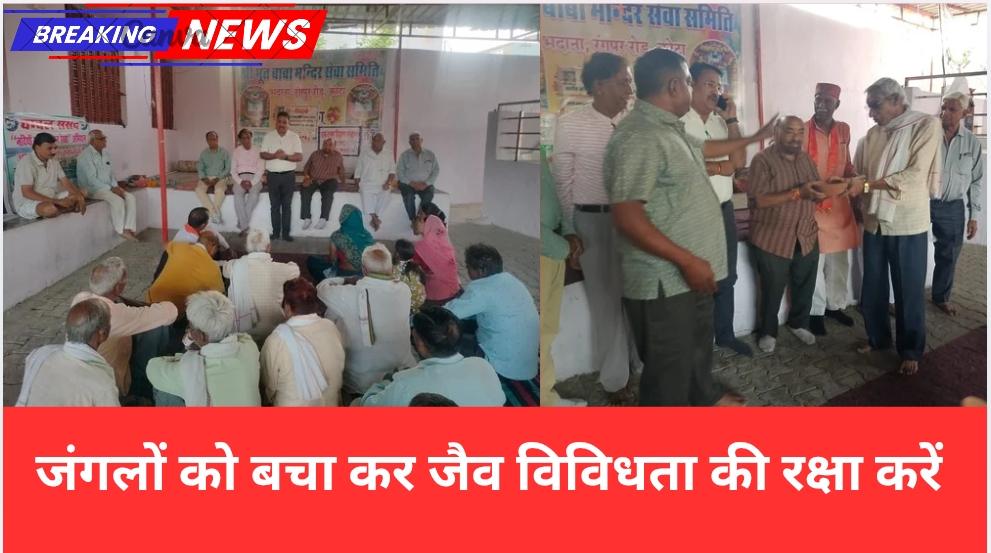 जंगलों को बचा कर जैव विविधता की रक्षा करें