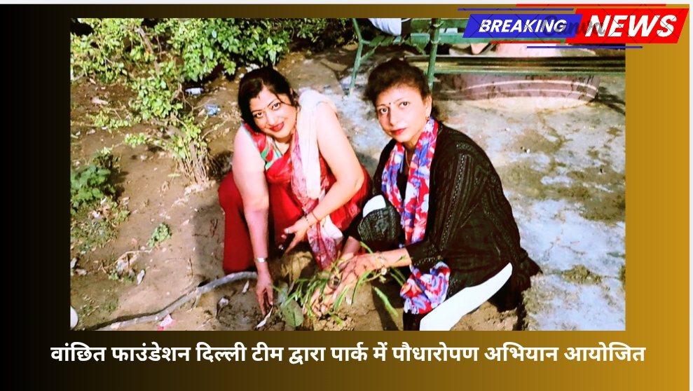 वांछित फाउंडेशन दिल्ली टीम द्वारा पार्क में पौधारोपण अभियान आयोजित