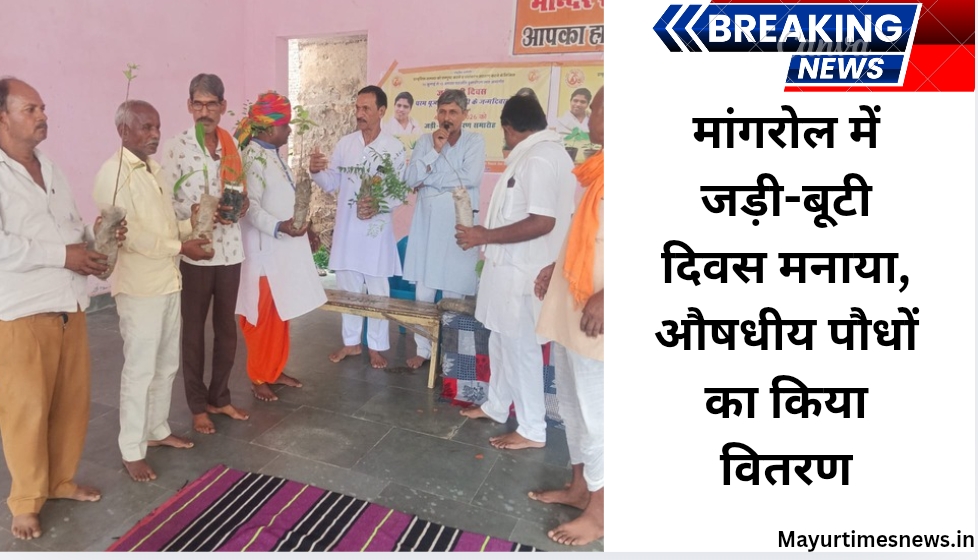 मांगरोल में जड़ी-बूटी दिवस मनाया, औषधीय पौधों का किया वितरण