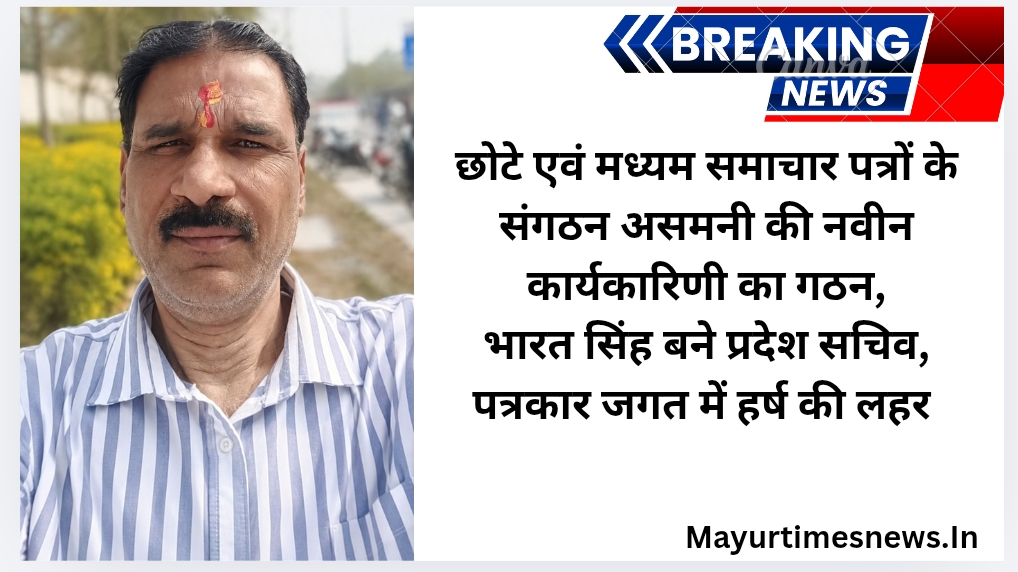 छोटे एवं मध्यम समाचार पत्रों के संगठन असमनी की नवीन कार्यकारिणी का गठन,भारत सिंह बने प्रदेश सचिव, पत्रकार जगत में हर्ष की लहर
