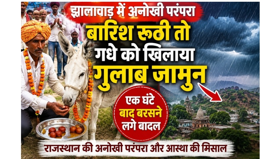 झालावाड़ में अनोखी परंपरा: बारिश रूठी तो गधे को खिलाया गुलाब जामुन, एक घंटे बाद बरसने लगे बादल
