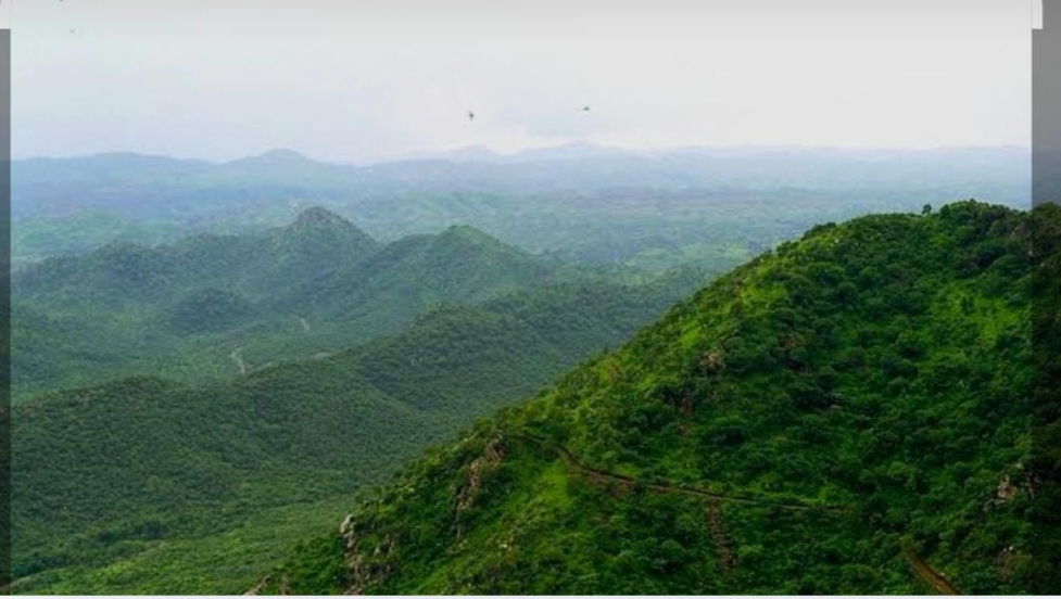 शाहबाद जंगल बचाओ आंदोलन का गूंजेगा दिल्ली में बिगुल: राष्ट्रीय संघर्ष सम्मेलन में सहरिया आदिवासी उठाएंगे अपनी आवाज