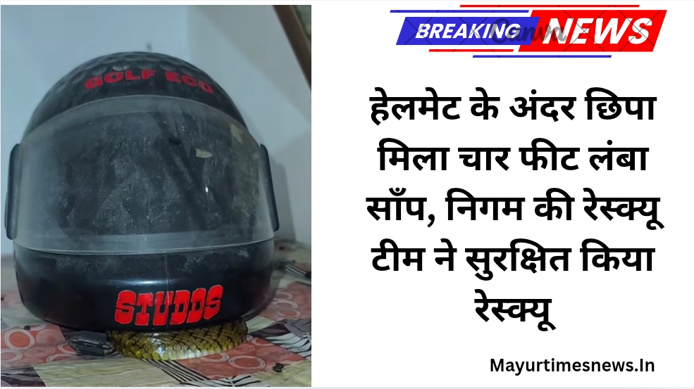 हेलमेट के अंदर छिपा मिला चार फीट लंबा साँप, निगम की रेस्क्यू टीम ने सुरक्षित किया रेस्क्यू